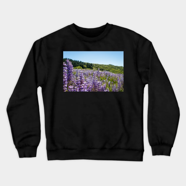 Field of lupine Crewneck Sweatshirt by blossomcophoto